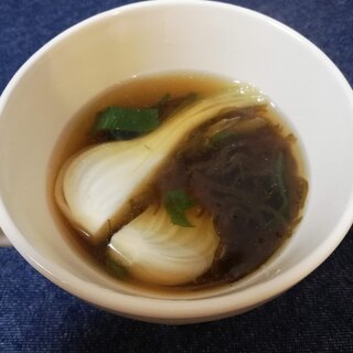 簡単！葉玉葱ともずくのスープ